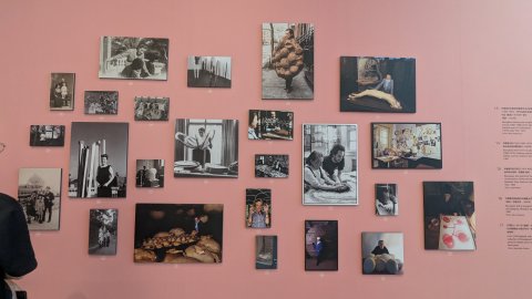 路易絲．布爾喬亞 - 富邦美術館